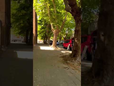 Amamos realmente muchísimo caminar por la ciudad de #laplata #walking #shorts #buenosaires