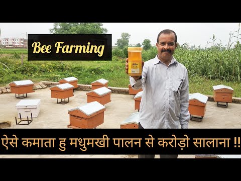 , title : 'मधुमखी पालन से कमाता हु करोड़ो सालाना || Successful Farmer in Bee Farming || Hello Kisaan'