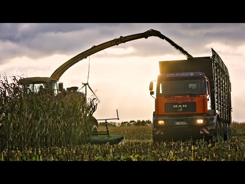 MAISERNTE mit SPEZIALTECHNIK - 2x Krone Big X 1100 und Agrotrucks | LU Sönke Berndsen (4K)