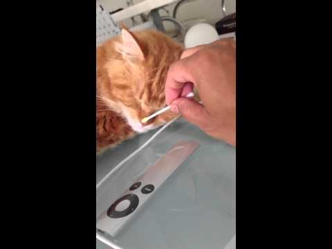 Lentigo simplex was removed from shiju nose