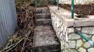 Wassermelonen - Projekt neuer Garten #Part 1# Der grobe Freischnitt