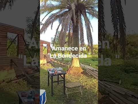 Amanecer el "La Bendecida ".Federación Entre Rios.