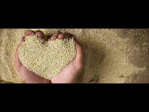 GESTOS QUE INSPIRAN  - LA QUINOA - CULTIVOS ANDINOS - CALINGASTA