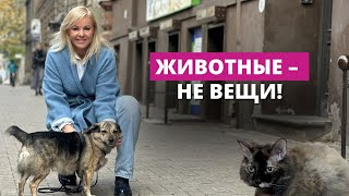 Animals are not things. Activists are calling for a change in the law.