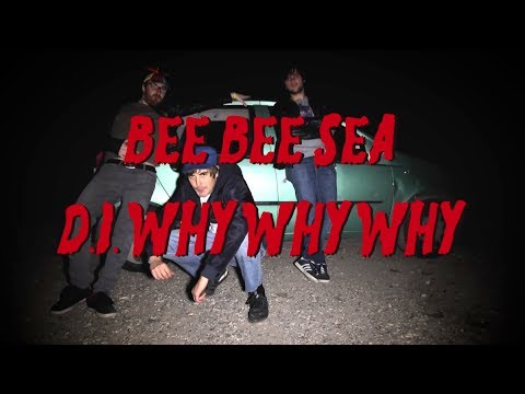 Bee Bee Sea - D.I. Why Why Why (Official Video)