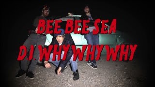 Bee Bee Sea - D.I. Why Why Why video