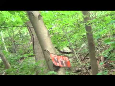 Constitution drive  "Where is 813?"