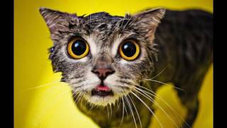 22 Savage - Sell You Sum Pussy (Official Audio)