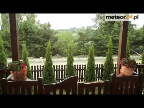 Domek Letniskowy Zbęchy - Zbęchy meteor24.pl