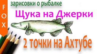 Когда на ахтубе ловить щуку