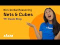 11+ Non Verbal Reasoning Techniques: Nets and Cubes