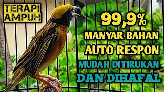 Download lagu MANYAR GACOR FULL GACOR NGEROL MEWAH, 100% AMPUH buat MASTERAN MANYAR BAHAN AGAR CEPAT GACOR ISIAN mp3 Download lagu MANYAR GACOR FULL GACOR NGEROL MEWAH, 100% AMPUH buat MASTERAN MANYAR BAHAN AGAR CEPAT GACOR ISIAN mp3