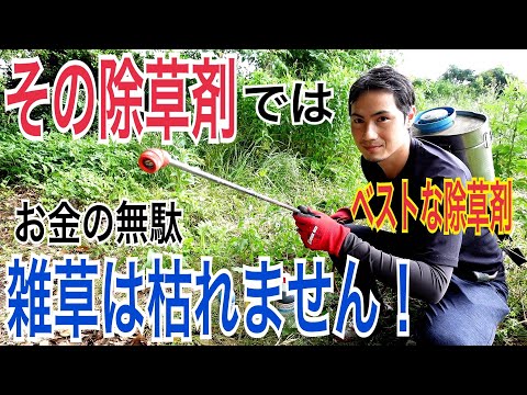 自然に土地をきれいにする方法は？雑草とイバラの駆除方法をご紹介します！  庭園