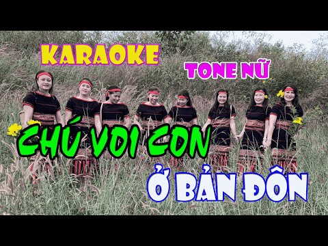 [ Karaoke-Remix ] CHÚ VOI CON Ở BẢN ĐÔN - Tone Nữ