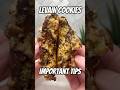 Levain Bakery Cookie Recipe