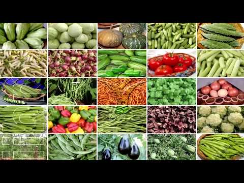 Glimpse of National Horticultural Fair at ICAR-IIHR -   March 15-17, 2018