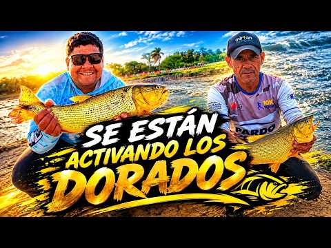Pesca de Dorado - Se va activando - Arroyo Pavón