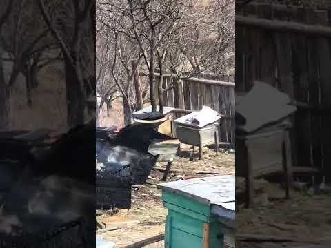 Incediu în satul Rașca, comuna Gura Caliței-duminică 27 martie 2022-video 1