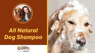 All Natural Dog Shampoo