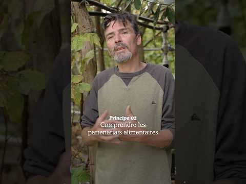 Permaculture Principle 2: Understanding Plant Needs