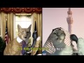 Trevor Moore - High in Church - Kitty History 