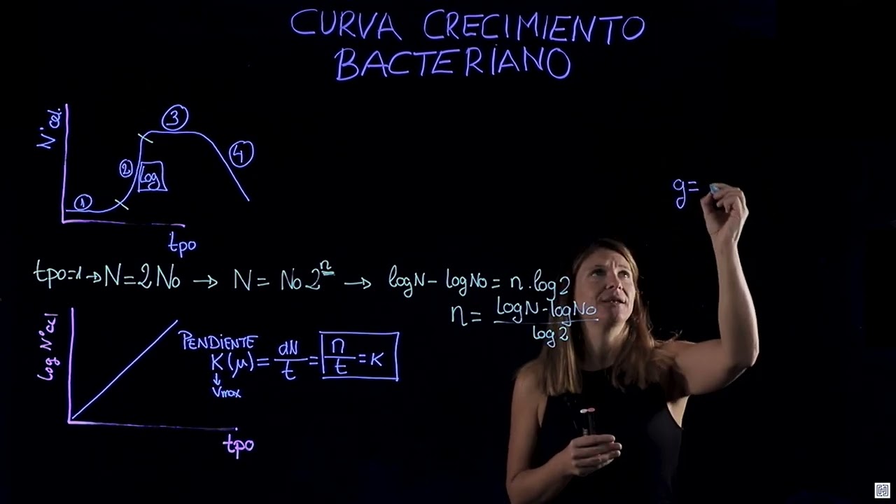 Curva de crecimiento bacteriano