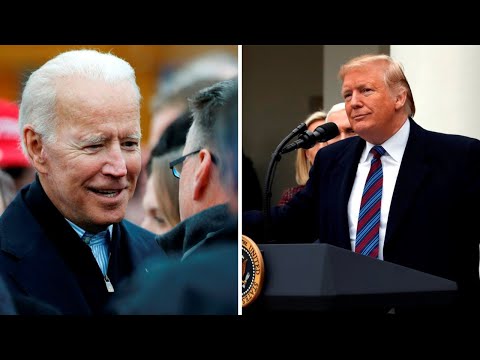 Joe Biden more ‘corrupt’ than Donald Trump: Alex Stein