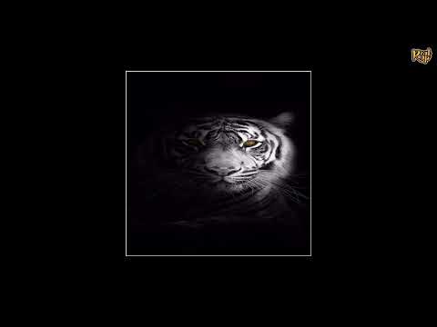 Nonchalantly Zay - YOTT : THE APPETIZER