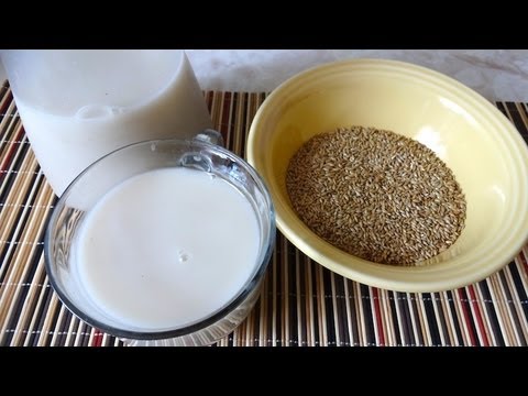 Leche de Alpiste - Cómo prepararla