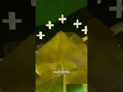 Would You Drink Cockroach Milk? 🤔