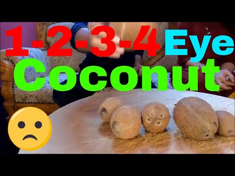 Ekakshi one eyed coconut