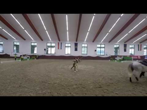 Deutsche Jugendmeisterschaften DJM 2016 - Redefin - Pas de Deux - VFZ Mainz-Ebersheim