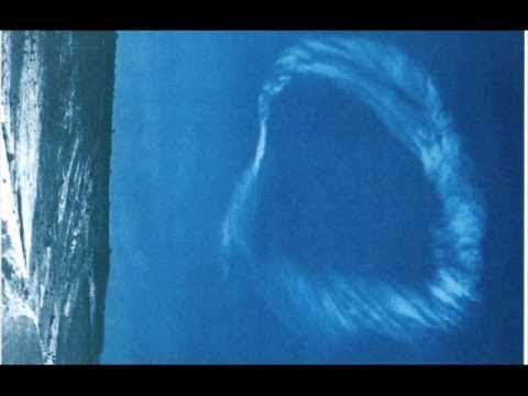 Lifeline - Citatul zilei 04.01.2019