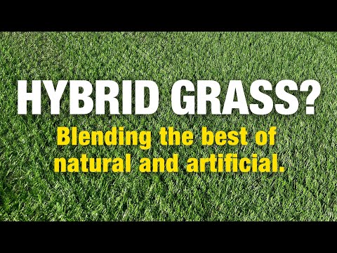 2 Minute Turf Talk - Hybrid Grass? Blending the best of natural and artificial.