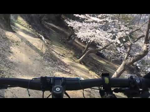 2019.04.05スポーツランドTAMADA ショートDH センチネル3本目