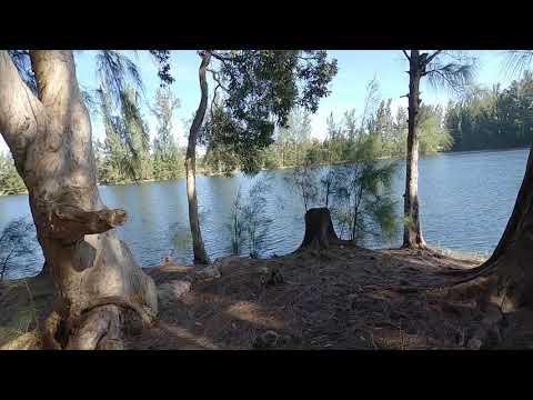 Wolf Lake Park - DAVIE, FLORIDA - NATURE TRAIL HIKE 12/8/2020