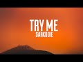 Sarkodie - Try Me (Lyrics)