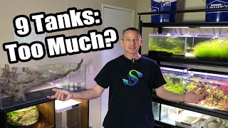 What it's like Maintaining 9 AQUARIUMS | Would YOU do it?