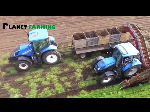 Amazing Vegetable Farming - Modern Harvesting Machine Broccoli, Cabbage, Carrot and Onion Farming