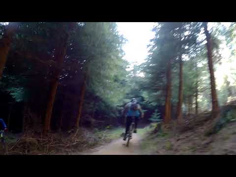 2019 0217 023026 055