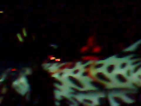 Time Warp Warm Up @ Cocoon Club FFM 03.04.09 -Sven Väth-