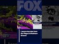 Person dies from the Plague in Northern Arizona | FOX 10 Phoenix - FOX 10 Phoenix Person dies from the Plague in Northern Arizona | FOX 10 Phoenix