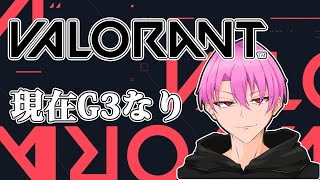 【VALORANT】少しだけ
