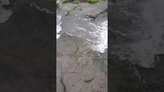 preview picture of video 'Bhivpuri waterfall trip'