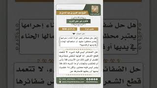 9660 -  حكم حل المرأة ظفائرها واستعمالها الحناء وهي محرمة -  نور على الدرب image