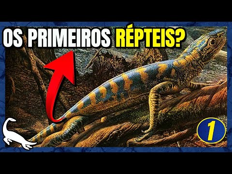 The Origin and Evolution of Reptiles!