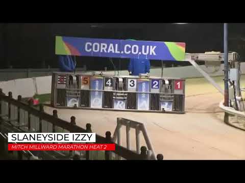 Slaneyside Izzy - Mitch Millward Marathon Heat 2