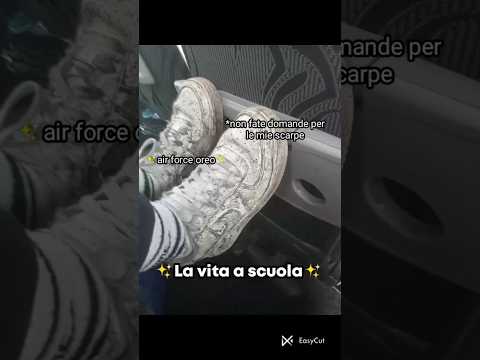 🗣️AUTO BLU CORRO CON IL MIO FRA