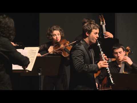 Sebastian Manz: H. J. Baermann - Adagio D flat major for Clarinet and Strings