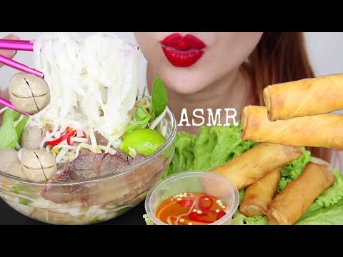 ASMR VIETNAMESE PHO BEEF NOODLES + DEEP FRIED SPRING ROLLS | EATING SOUNDS (No Talking)
